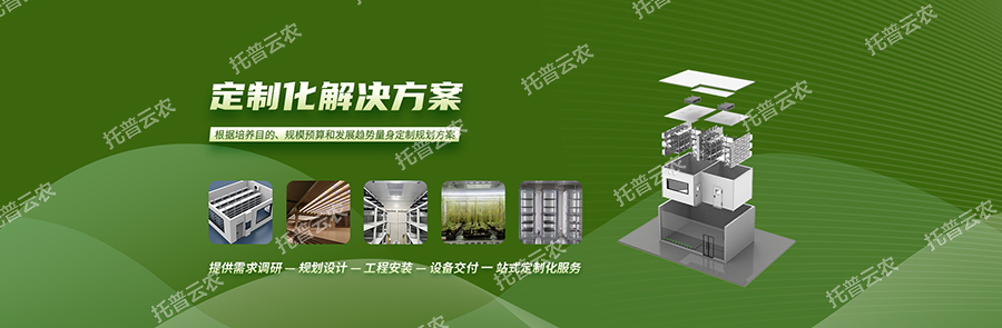 智能人工氣候室—助推農業(yè)研究新高度